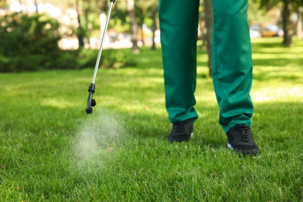 Best Emergency Pest Control  in Williamson, WV