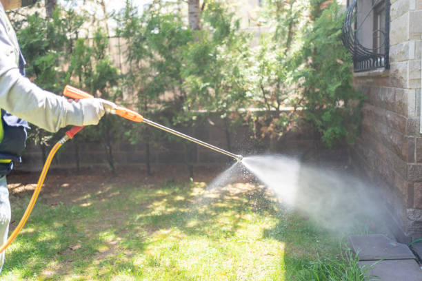 Best Mosquito Control Services  in Williamson, WV